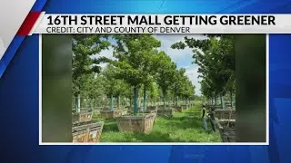 Denver’s 16th Street Mall is getting greener