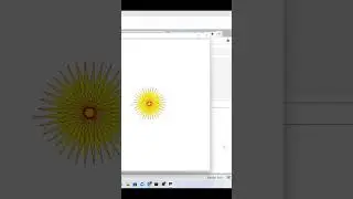 Python Graphics (Flower) 