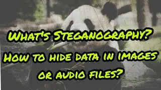 What is Steganography ? | How to use it in Kali Linux ?