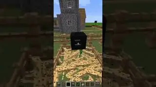 Minecraft Cat Vs Creeper #shorts #minecraft #cat #creeper