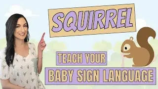 ASL sign for SQUIRREL - Teach Your Baby Sign Language!