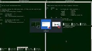 Install and Configure DNS Server in Kali Linux