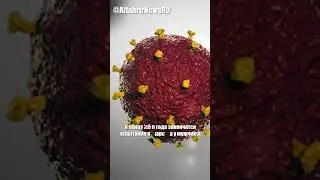 Лекарство от ВИЧ