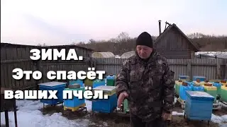 ЭТО СПАСЁТ ВАШИХ ПЧЁЛ