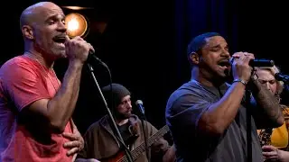 "Crime to be Curious" by the Pennsoulvanians | The Local Groove Presents