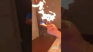 Snapchat videos