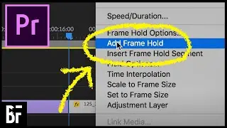 Create a Freeze Frame (Frame Hold) in Premiere - Tutorial