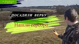 Коп по старине. Высадка Вербы.