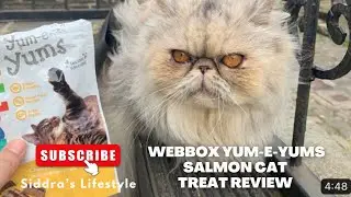 Webbox Yum-e-Yums Salmon Cat Treat Review