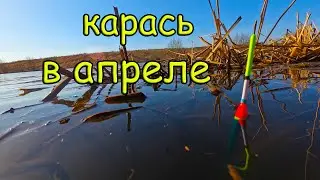 РЫБАЛКА НА КАРАСЯ В АПРЕЛЕ.  суперклев карася