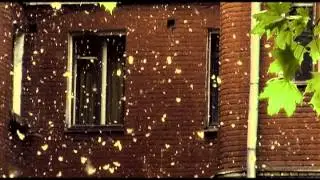 Олег Груз - Еле Цел