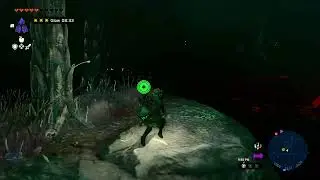 How to go to Korok Forest | Great Hyrule Forest Zelda: Tears Of the Kingdom