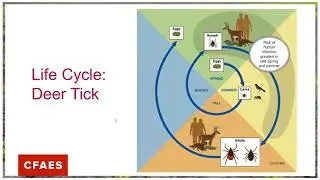 Update on Ticks: 2022