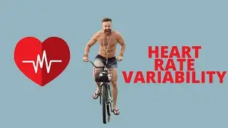 What is HRV? Understanding Heart Rate Variability