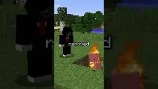 Minecraft Ravagers are GOLEMS 