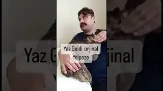 Yaz Geliyor Dikkat