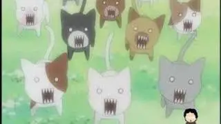 AMV Hell Cats