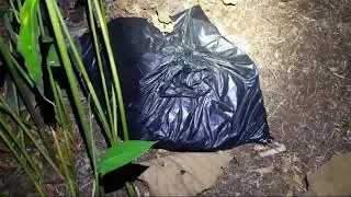yang nonton jangan takut,eh ... yang takut jangan nonton