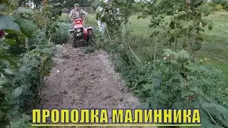 ПРОПОЛКА МАЛИНЫ МОТОБЛОКОМ .ФРЕЗОЙ.