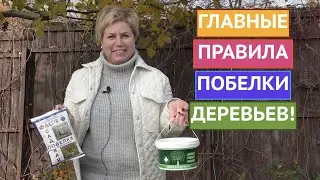 КАК И ЧЕМ ПОБЕЛИТЬ ДЕРЕВЬЯ + РЕЦЕПТЫ ПОБЕЛКИ СВОИМИ РУКАМИ!