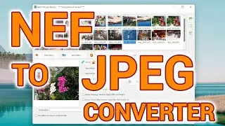 NEF to JPG Converter Software for Windows 11