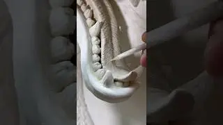 Пасть Дракона.Пятый этап.Барельеф.