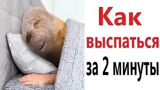 Приколы! КАК ВЫСПАТЬСЯ ЗА 2 МИНУТЫ - мемы!!! Смешные видео – Доми шоу!