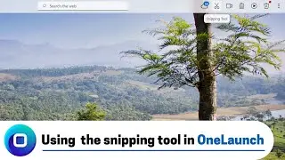 Using the OneLaunch Snipping Tool (2022 Edition)