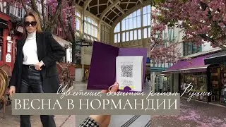 ВЕСНА В НОРМАНДИИ, барахолка в центре города, покупаю билеты в Париж, гуляем по спальному району