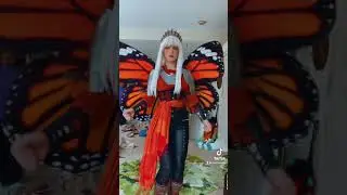 Butterfly knight