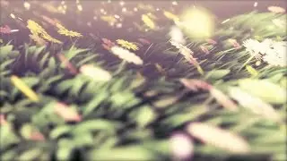 Flower Animation using Adobe After Effects Tutorial Coming Soon