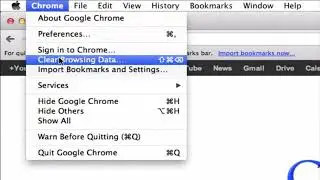 How to Delete Cookies in Google Chrome?