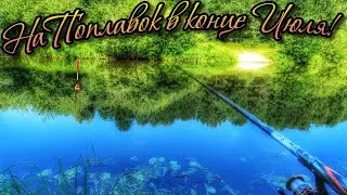 СУПЕР РЫБАЛКА! ГУСТЕРА, ПЛОТВА, ПОДЛЕЩИК КАК ИЗ ПУЛЕМЕТА! ТРОФЕЙНЫЙ ПОПЛАВОК!