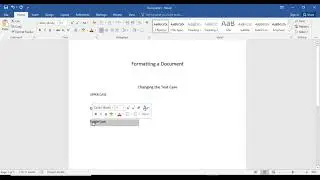 Changing the Text Case, Class IX CBSE IT 402