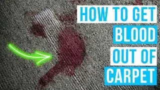 How to GET BLOOD OUT OF CARPET | Hydrogen peroxide for stains