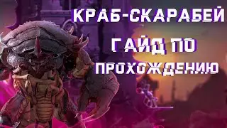 RAID: Краб Скарабей 🦀 Гайд по прохождению🔥🔥🔥