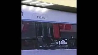 Кота Твикса выбросили на мороз около Кирова