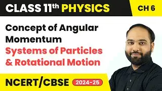 Concept of Angular Momentum - Systems of Particles | Class 11 Physics Chapter 6 | CBSE 2024-25