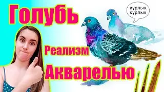 Как нарисовать голубя акварелью, как нарисовать поэтапно птицу красками