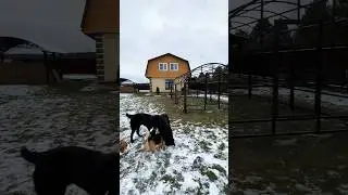 Щас как начнём сажать огурцы, помидоры, да перцы😆