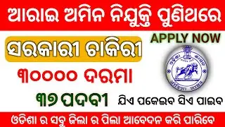 RI AMIN Recruitment 2023 | Odisha Govt Job 2023 | Latest Job Vacancy | Odisha Job Details