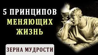 5 Принципов, Которые Изменят Твою Жизнь