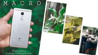 how to click professional macro photography in a single camera phone