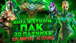 Бюджетный ПАК 20 паук RAID | Убивай за 40 сек и со 100% ВИНРЕЙТОМ | Raid: Shadow Legends