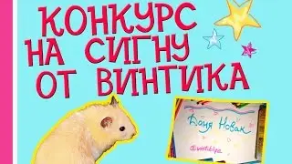 КОНКУРС НА СИГНУ ОТ ВИНТИКА | УСЛОВИЯ КОНКУРСА | ВИНТИК В INSTAGRAM ✿