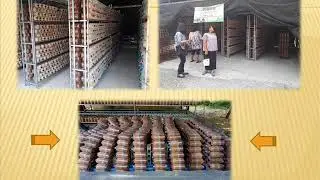 ผลการปฏิบัติงานประจำเดือนมีนาคม 2561
