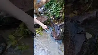Святой источник!!! Моё родное место силы!!!