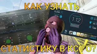 КАК УЗНАТЬ ВСЮ СТАТИСТИКУ КСГО - ВСЯ СТАТИСТИКА КС ГО (гайд)