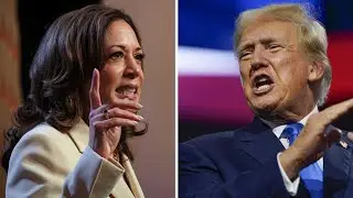 The Trump vs Kamala predictors have NO IDEA
