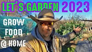 What's Growing On In The Garden? Winter Gardening Updates 2023!